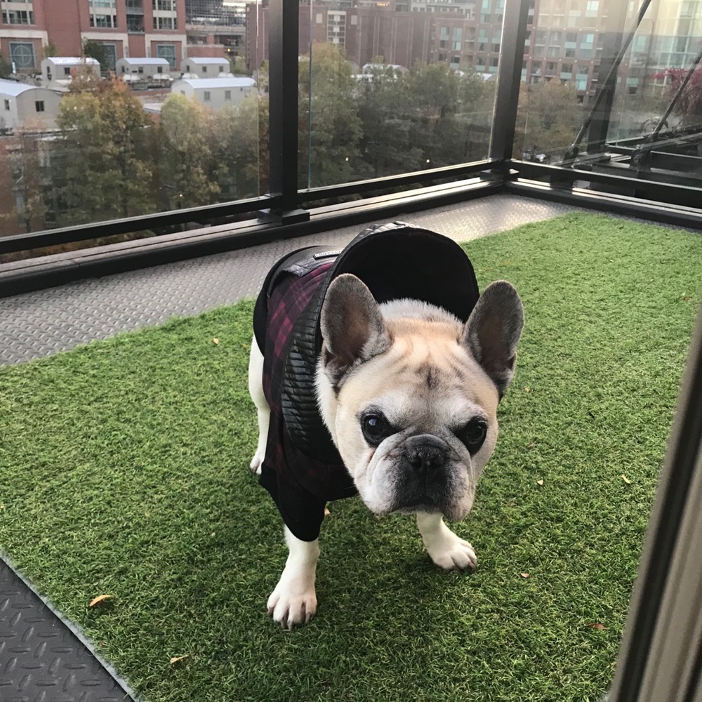 Meet your Posher, Irina